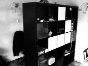 office wall of life Floater from Game of Life in Shelving unit