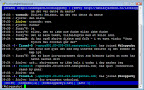 irssi as irc client