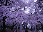DSCN1793.JPG