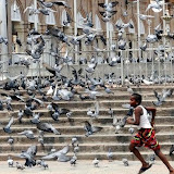 With curfew in force, the historic Mecca Masjid in the old city of Hyderabad was deserted of devotees, on Tuesday.