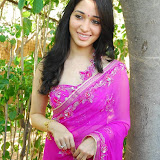 Tamannah in Saree
