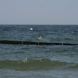 Ostsee Tagesausflug am 07.August 2007