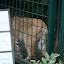 Tierpark Berlin am 23. August 2007 &ndash; 