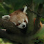 Tierpark Berlin am 23. August 2007 &ndash; 