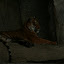 Tierpark Berlin am 23. August 2007 &ndash; 