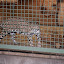 Tierpark Berlin am 23. August 2007 &ndash; 