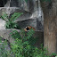 Tierpark Berlin am 23. August 2007 &ndash; 