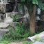 Tierpark Berlin am 23. August 2007 &ndash; 