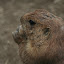 Tierpark Berlin am 23. August 2007 &ndash; 