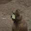 Tierpark Berlin am 23. August 2007 &ndash; 