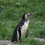 Tierpark Berlin am 23. August 2007 &ndash; 