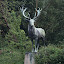 Tierpark Berlin am 23. August 2007 &ndash; 