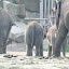 Tierpark Berlin am 23. August 2007 &ndash; 