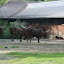 Tierpark Berlin am 23. August 2007 &ndash; 