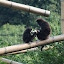 Tierpark Berlin am 23. August 2007 &ndash; 