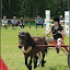 14. Speckreiten in Röbel/Müritz – 14. Speckreiten in Röbel/Müritz –