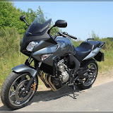 Probefahrt CBF600SA