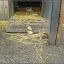 am Mauerpark &ndash; Jugendfarm Moritzhof - Meerschweine