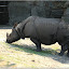  &ndash; Nashorn
