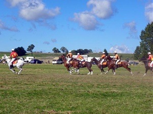 [Guyra polocrosse[6].jpg]