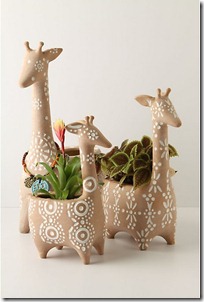 2011.05.02 - Anthropologie Giraffe Pots
