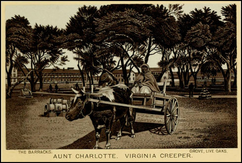 Aunt Charlotte Fort Monroe