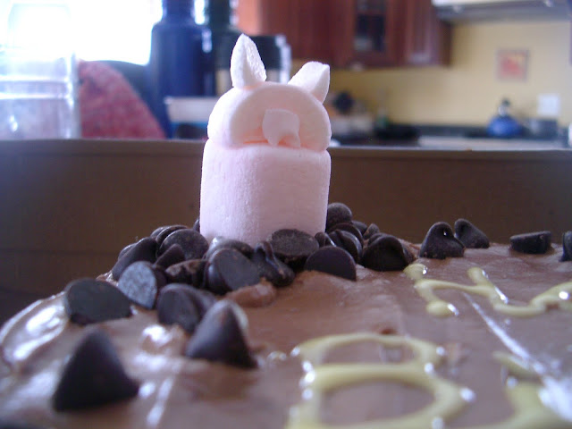 Birthday pig close-up