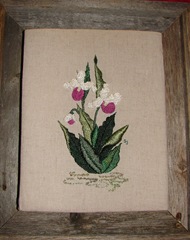 Showy Lady Slipper - original design by Sherry Johnson for class