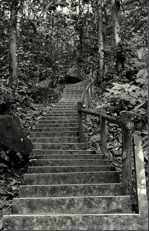 DSC_0682