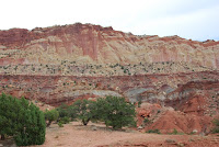 DSC_4934.JPG