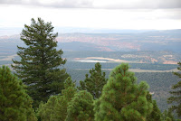 DSC_4958.JPG