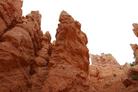 DSC_4996.JPG
