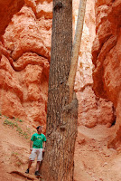 DSC_5037.JPG
