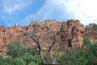 DSC_5162.JPG