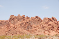 DSC_5195.JPG