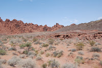 DSC_5191.JPG