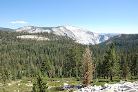 DSC_5351.JPG Photo
