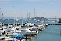 DSC_5698.JPG Photo