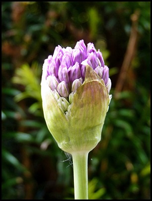 P1010052