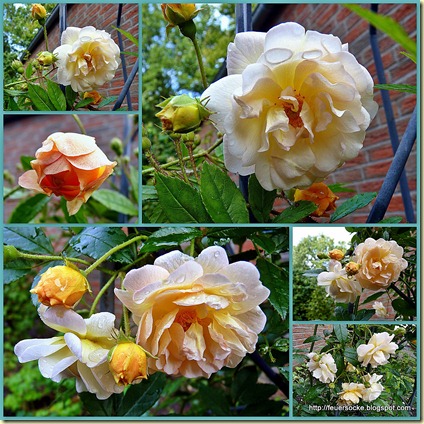 20100918