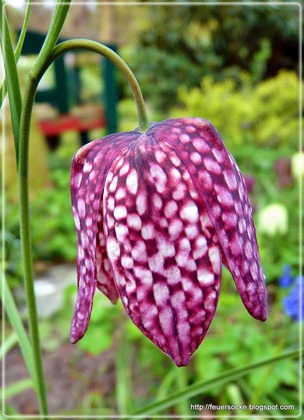 P1020430