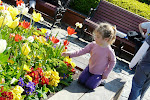 SF-trip-YSK37.jpg