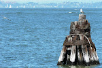 SF-trip-YSK22.jpg