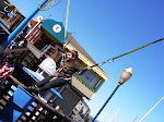 SN850016.JPG