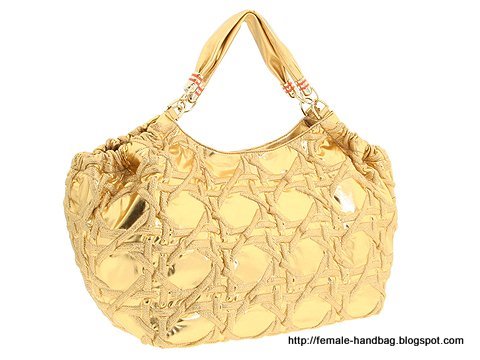 Female-handbag:handbag-1219505