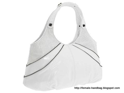 Female-handbag:handbag-1219512