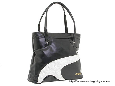 Female-handbag:handbag-1219341