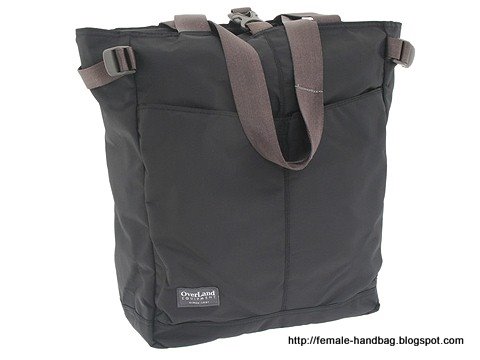 Female-handbag:handbag-1219366