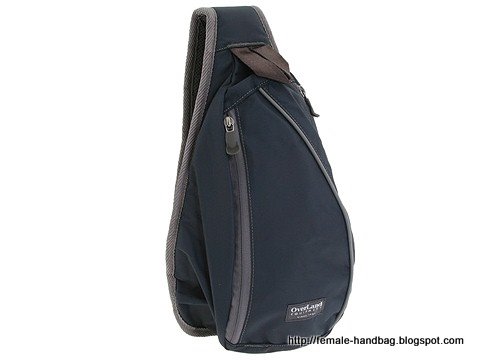 Female-handbag:female-1219371