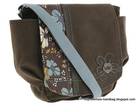 Female-handbag:handbag-1219380
